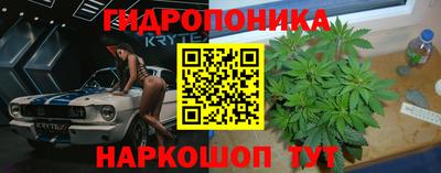 сатива Уссурийск
