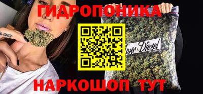 сатива Уссурийск